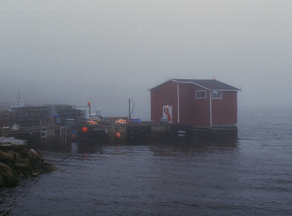 LOBSTER SHACK