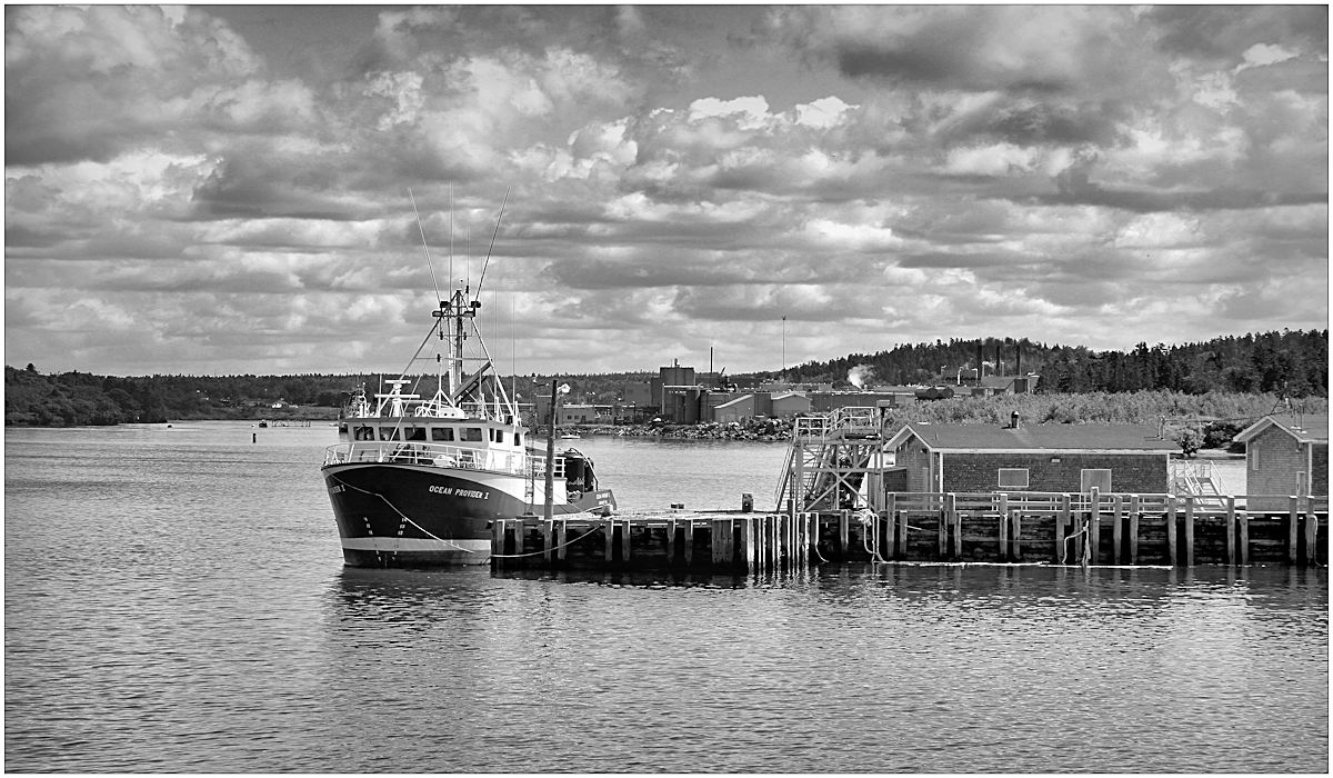 'OCEAN PROVIDER'
