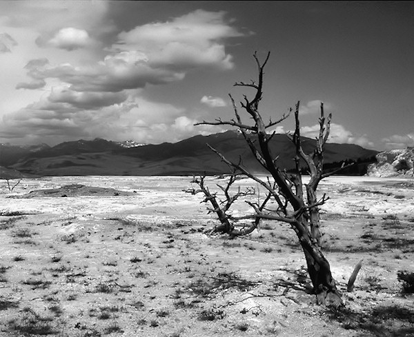 SALT BED YELLOWSTONE PARK